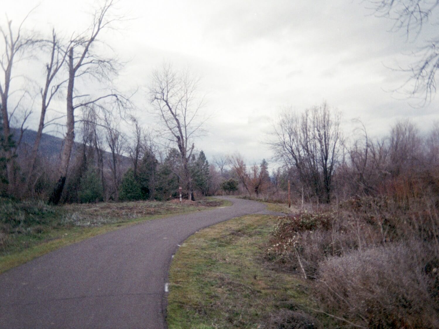 Kodak Ektar H35 Half-frame Camera Sample Image