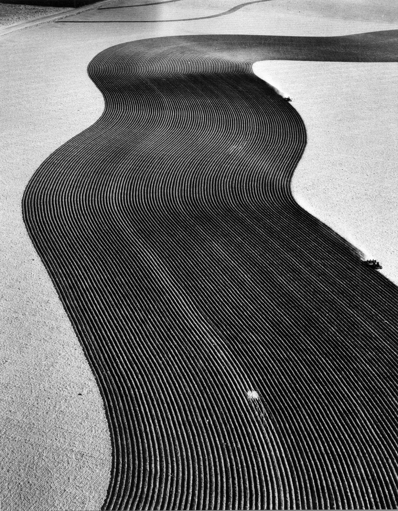 Margaret Bourke-White, Two Tractors Plowing (1954)
