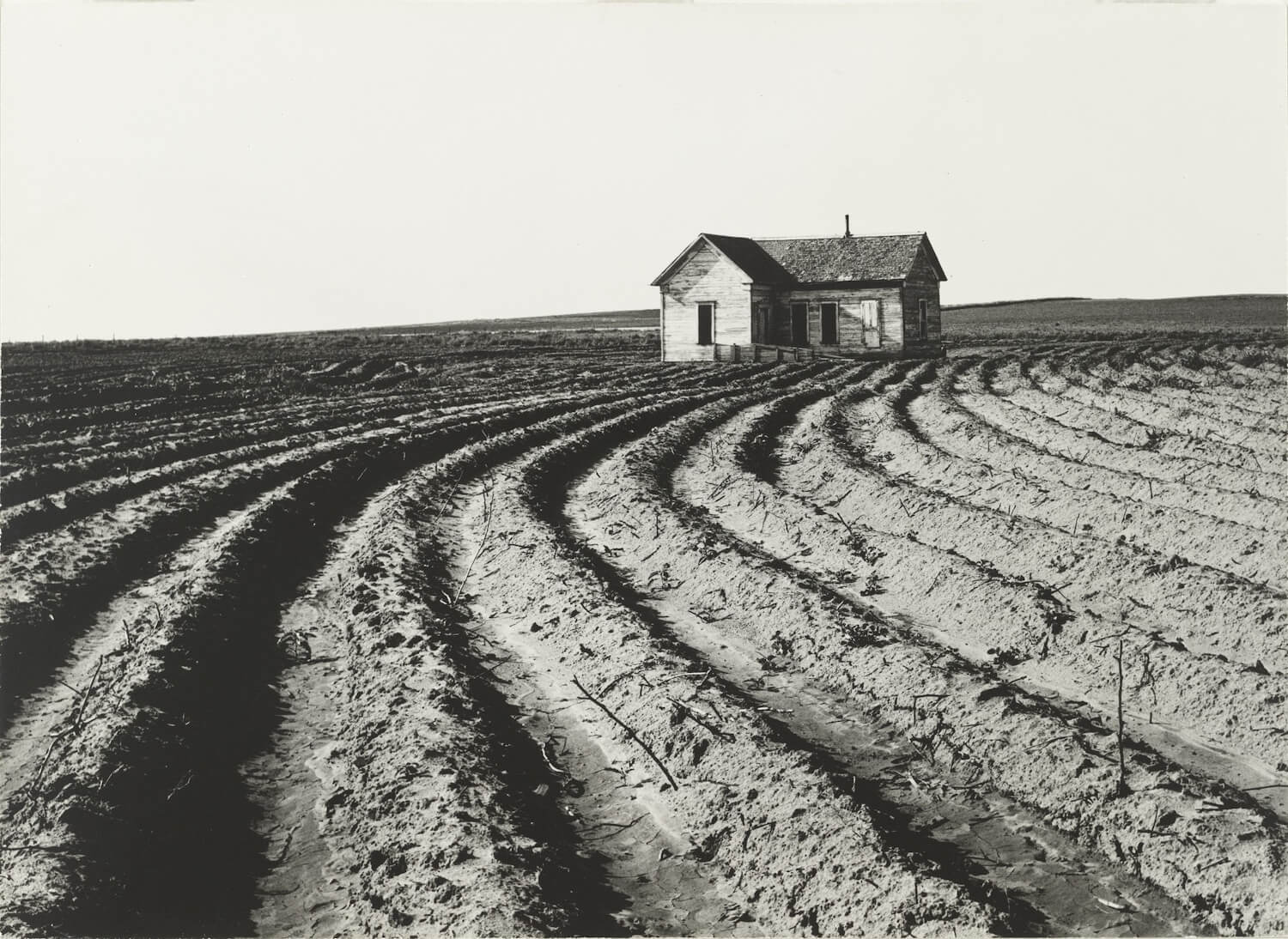 Dorothea Lange, Tractored Out (1938)