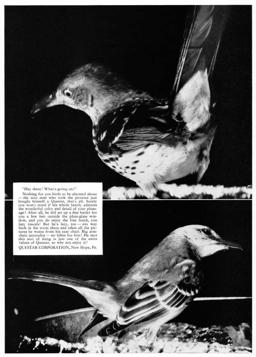 Questar advertisement, <em>Sky and Telescope</em>, March 1958