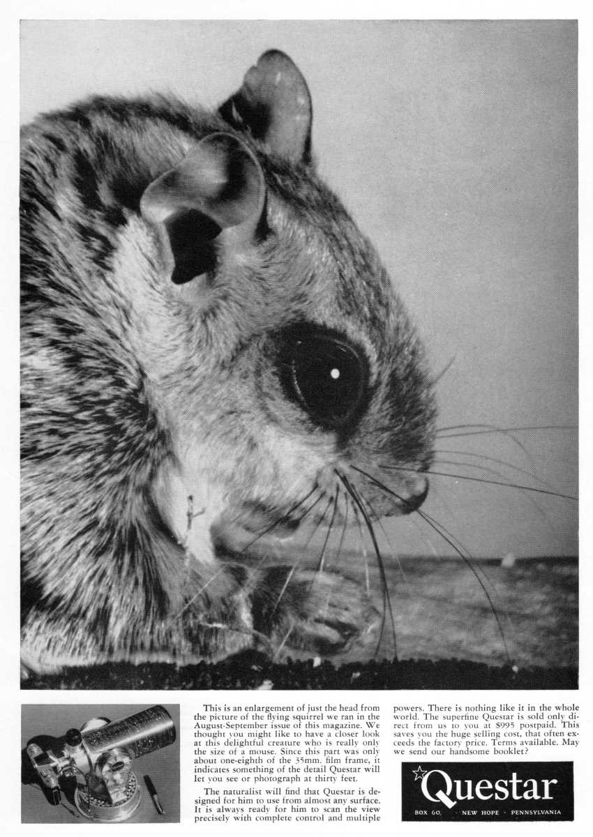 Questar advertisement, <em>Natural History</em>, February 1961