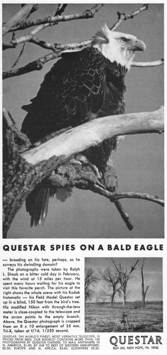 Questar advertisement, <em>Natural History</em>, May 1973