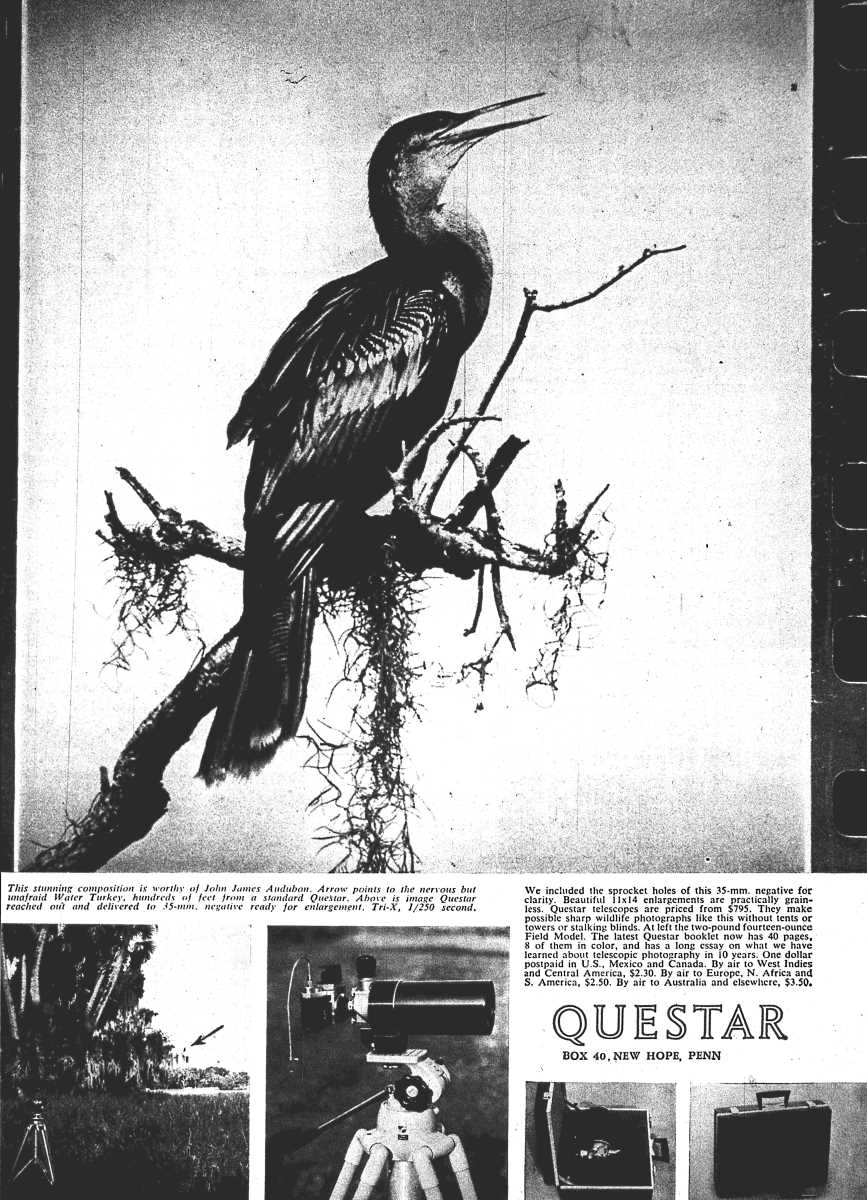 Questar advertisement, <em>Audubon</em>, May-June 1967