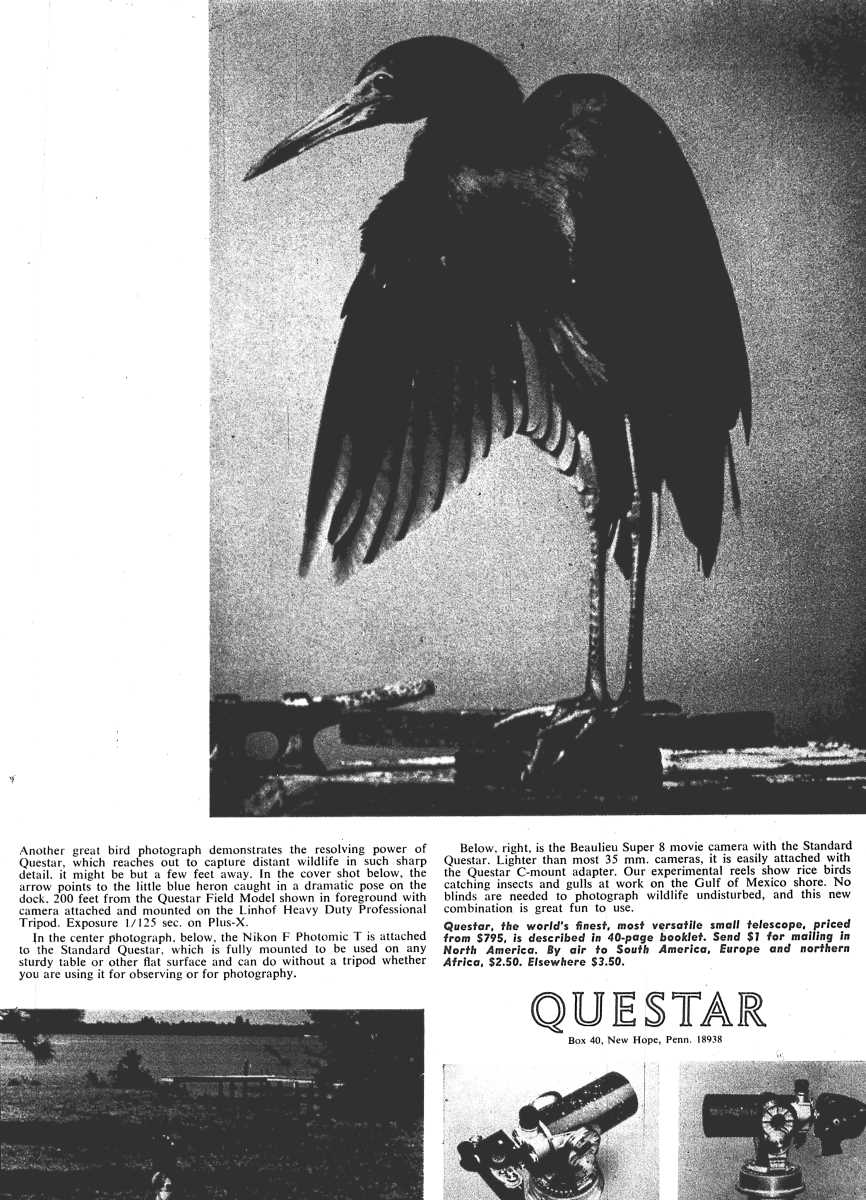 Questar advertisement, <em>Audubon</em>, July-August 1967