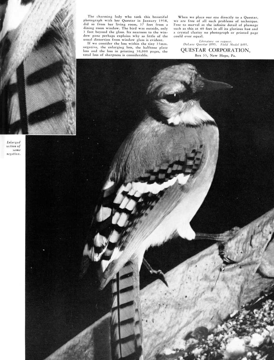 Questar advertisement, <em>Audubon</em>, March-April 1958